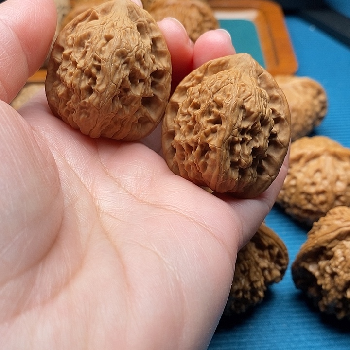 红狮子37已打底手把件