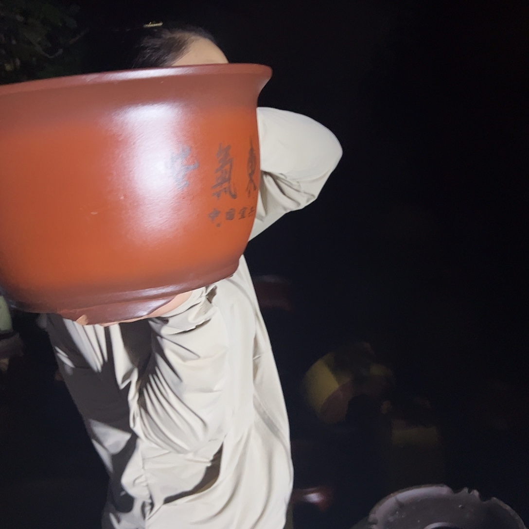 30紫气东来花盆花盆