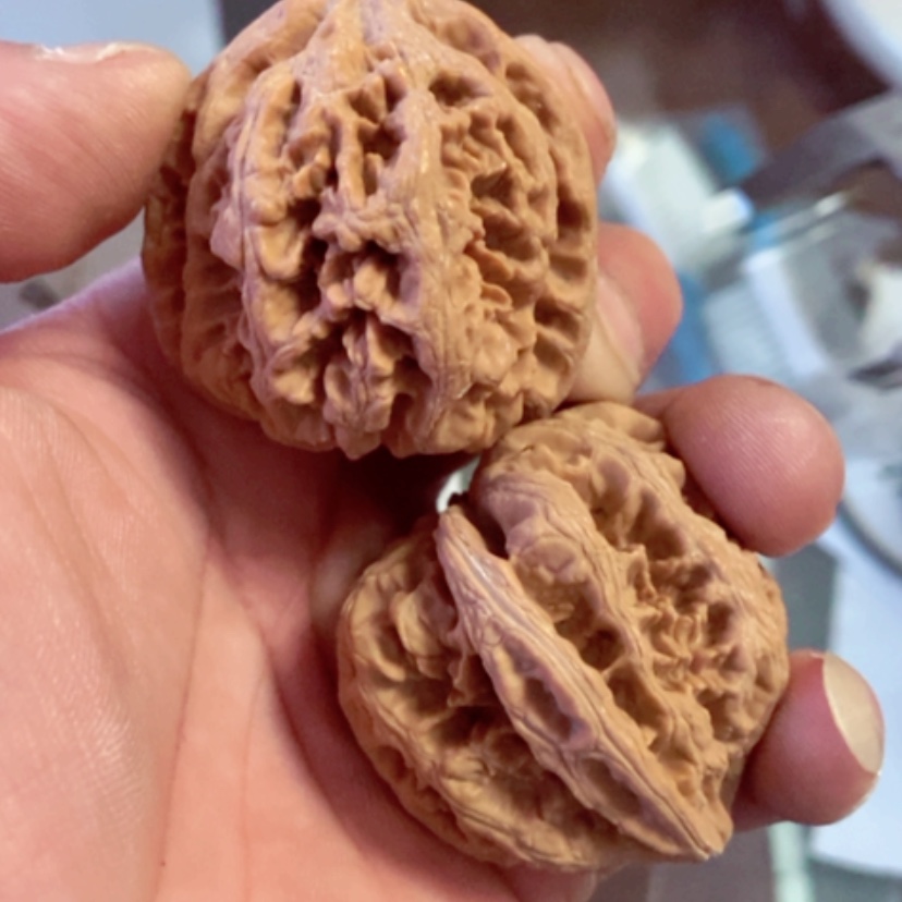 【闪购商品】昵***置43全品无修大粗筋