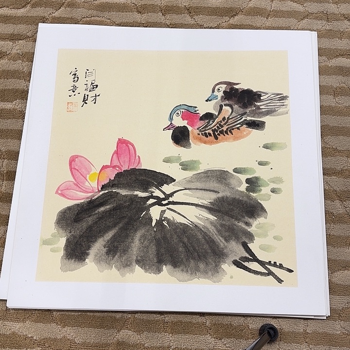 国画花鸟等多种鸟类和动物50.50