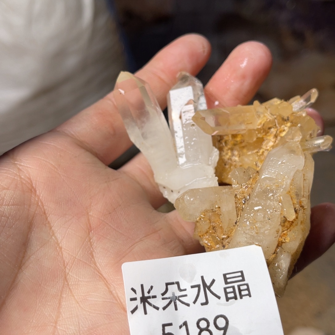 T***呀未镶嵌水晶珠宝半成品