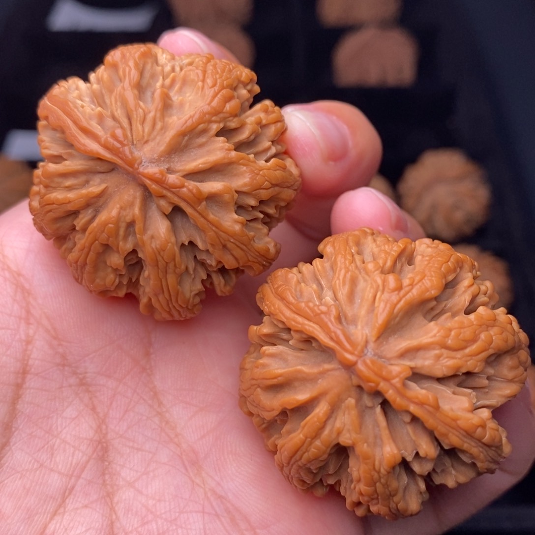 文玩核桃把件111111111111111