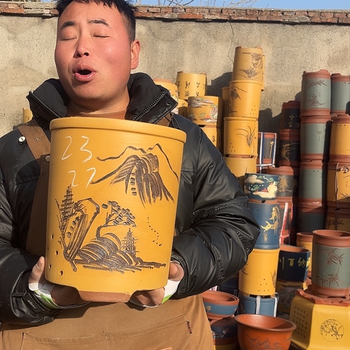 紫砂紫砂花盆盆栽