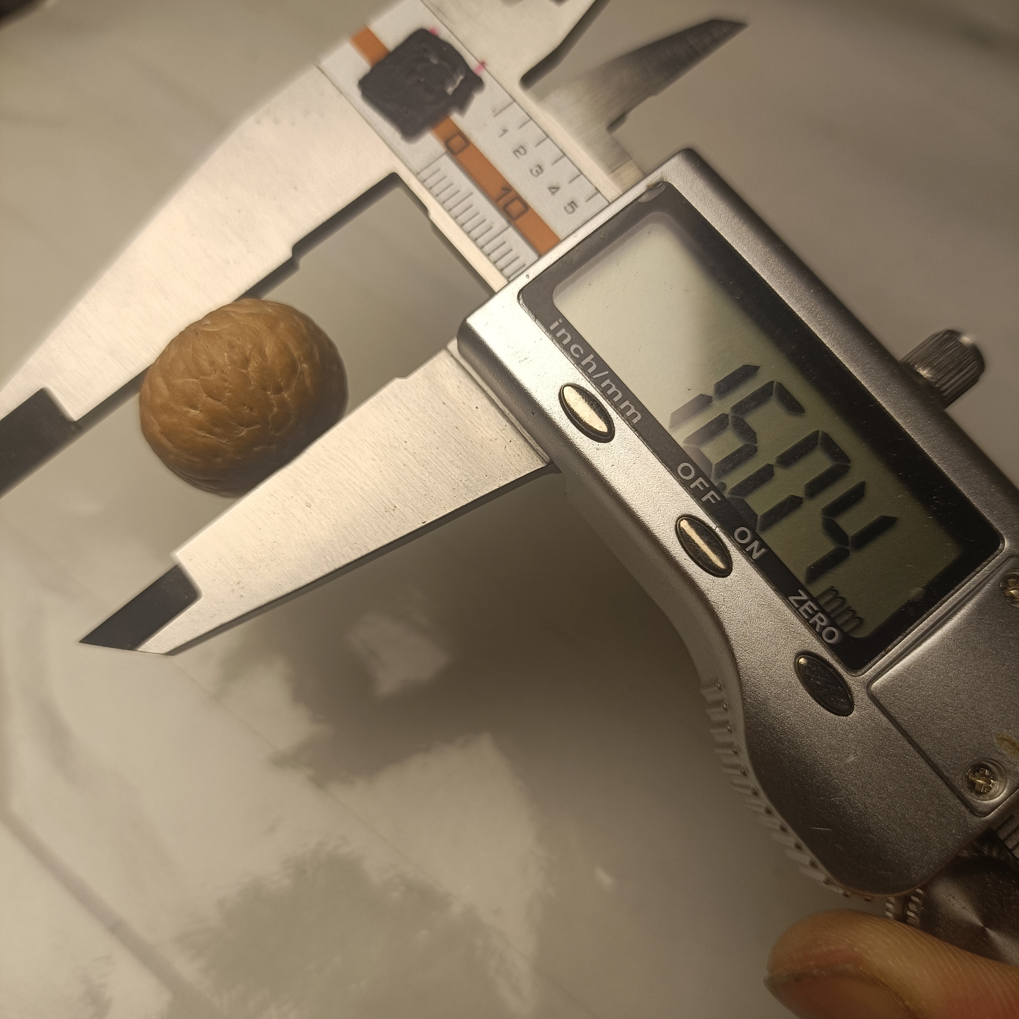 2025尼泊尔凤眼菩提麒麟三通20.5mm  货号F6
