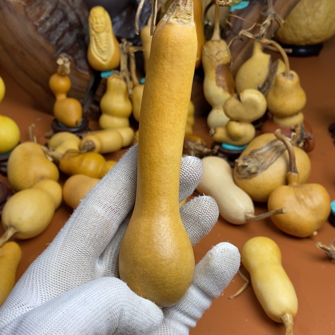 买***芦教练咯教练咯教练咯