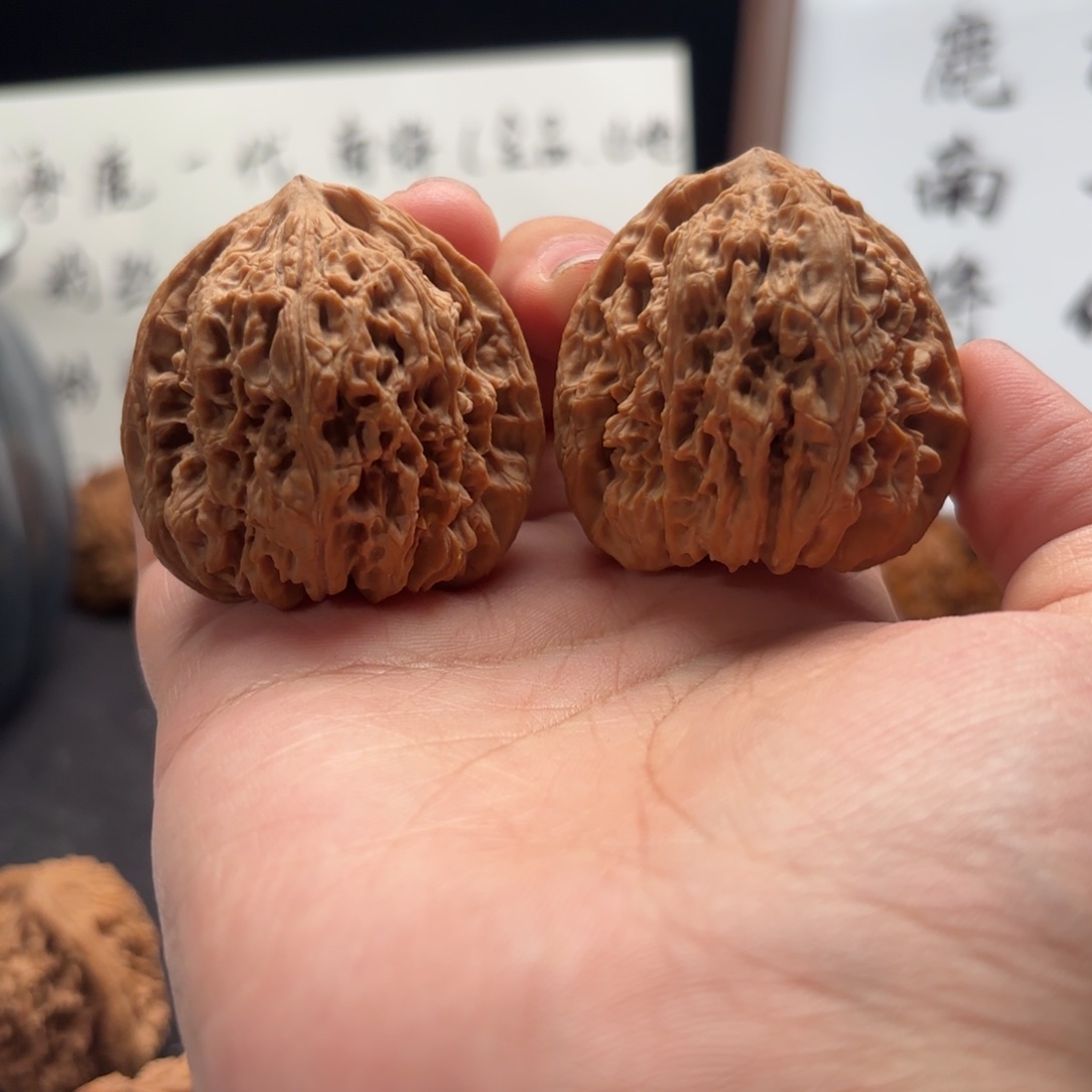 核桃涿鹿南疆涿鹿