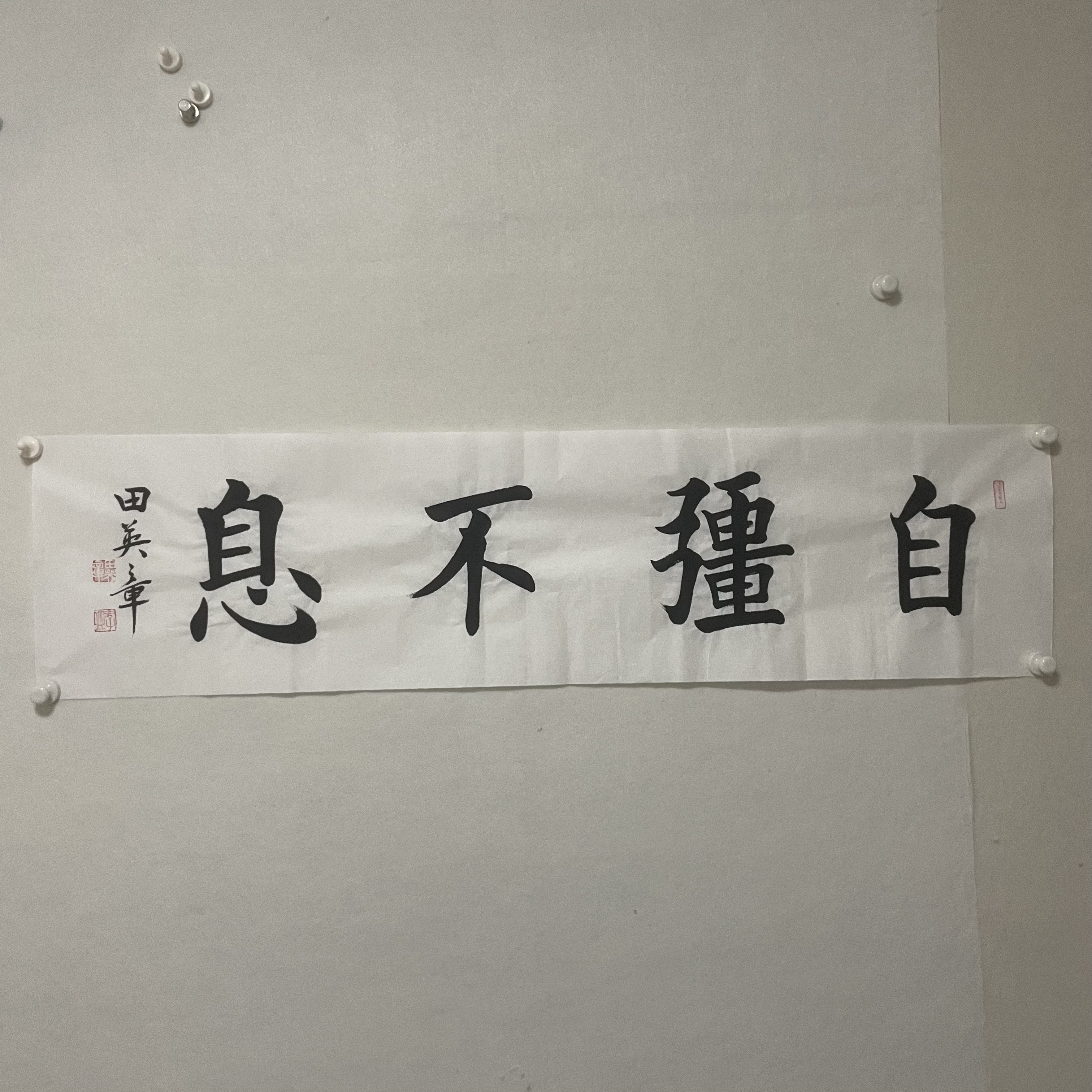 4208 田英章 书法 34×136cm