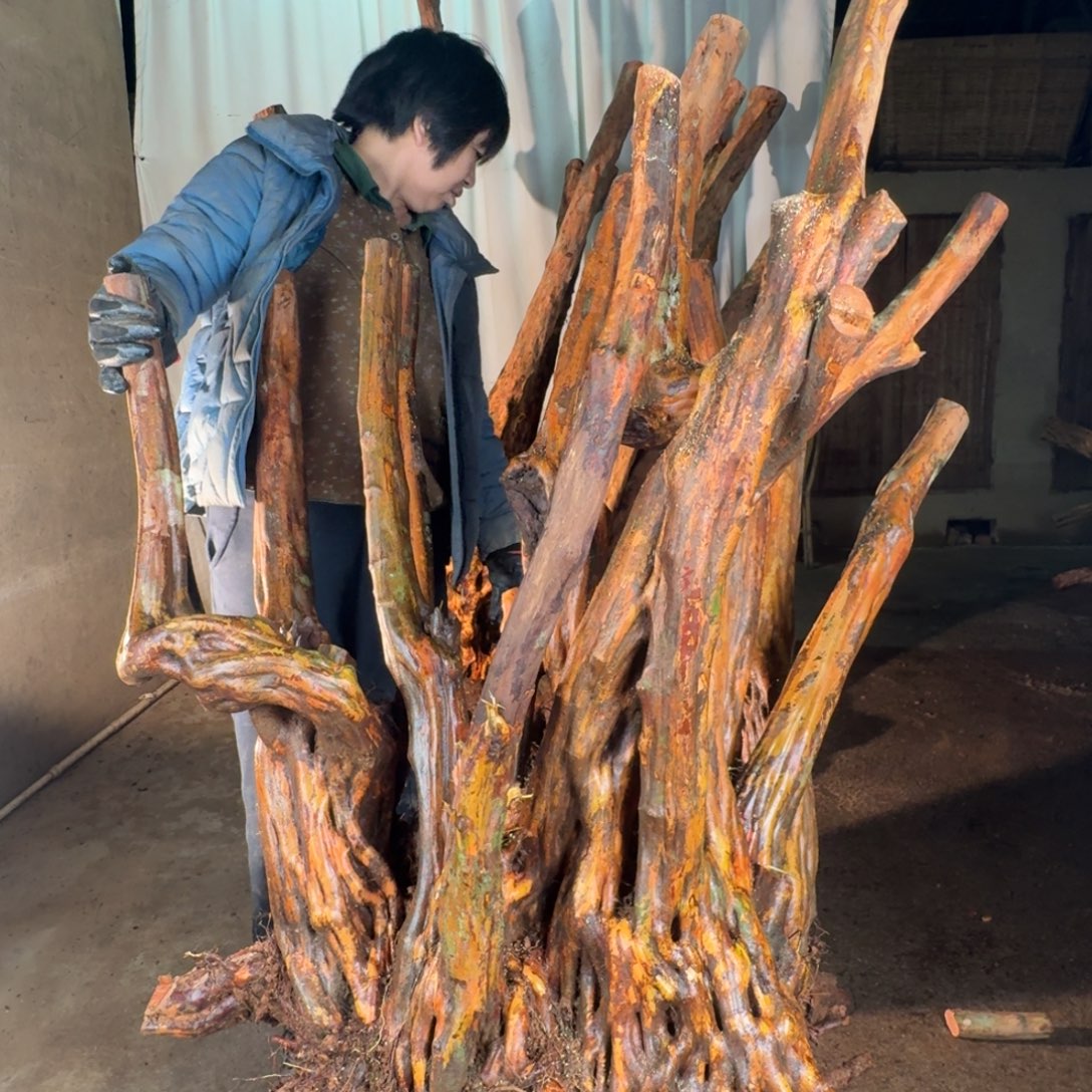 宁***司777777777777777777777