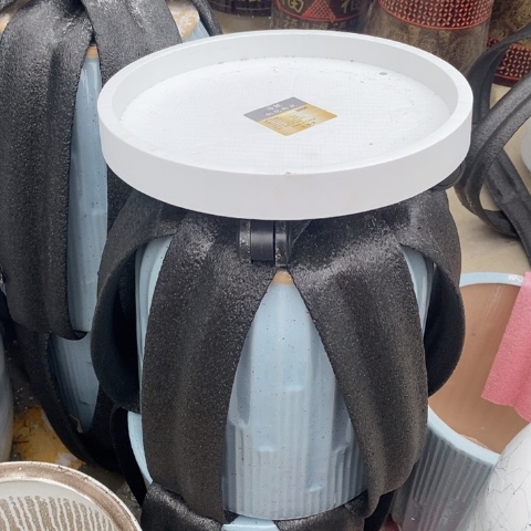 320白色万向轮伦托