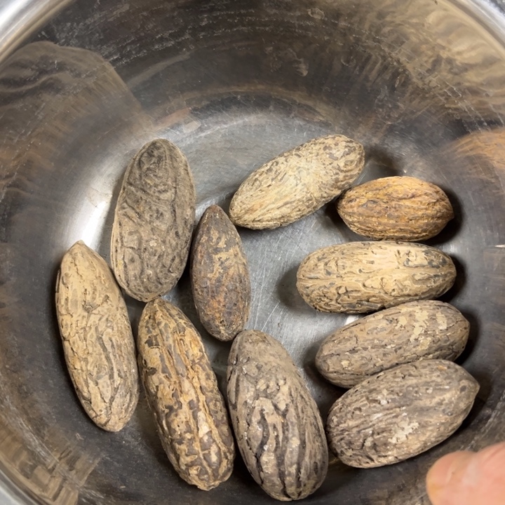 千眼菩提吊坠千眼菩提，46