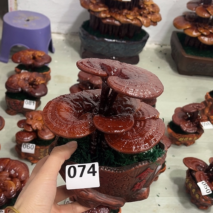 全部花朵8888888888888888