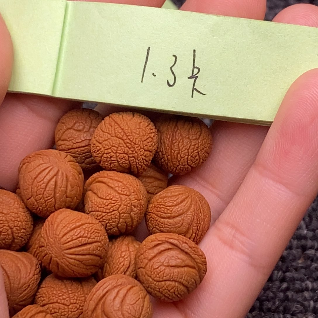 秦岭山脉龙纹桃核 18