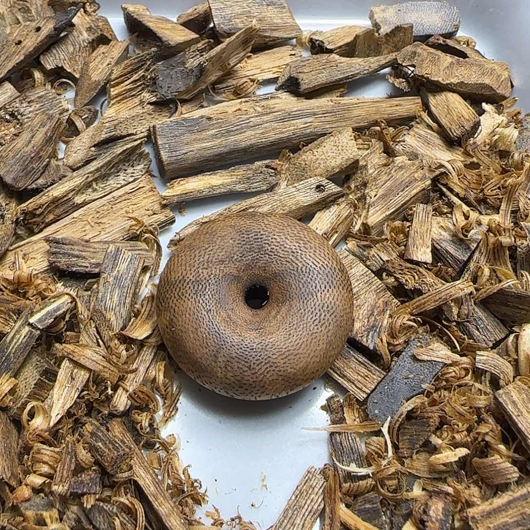 沉香碎屑沉香平安扣