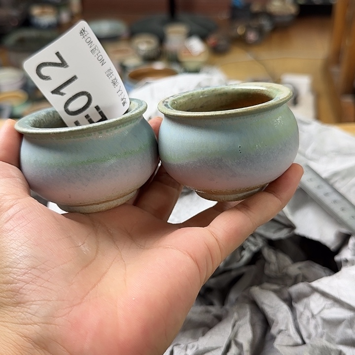 重庆小燕子欢迎大家012