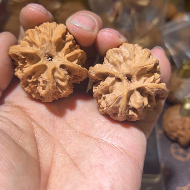 梁***歲核桃全品无修苹果园