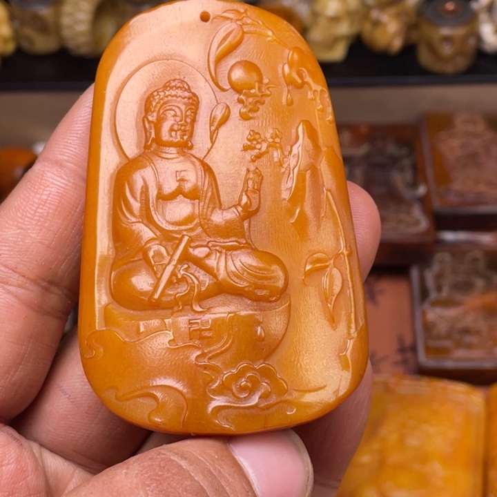 驼骨其他无*人工养殖