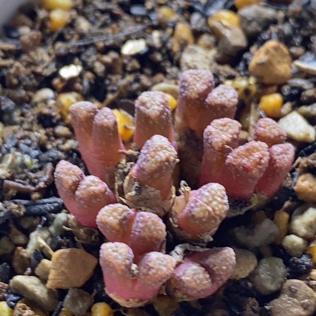 好看好看好看好看好看啊热门1254火柴