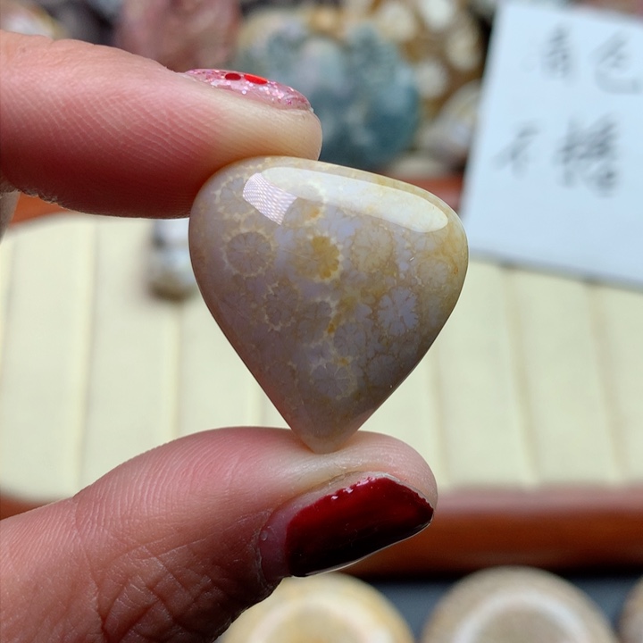 硅化珊瑚（珊瑚玉）颈饰未镶嵌