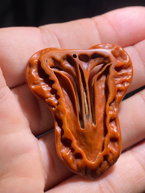 一物一图（167）：异形核桃切片 尺寸高49