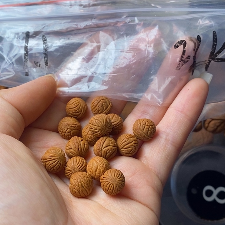 手串文玩核桃秦岭野生龙纹桃核11