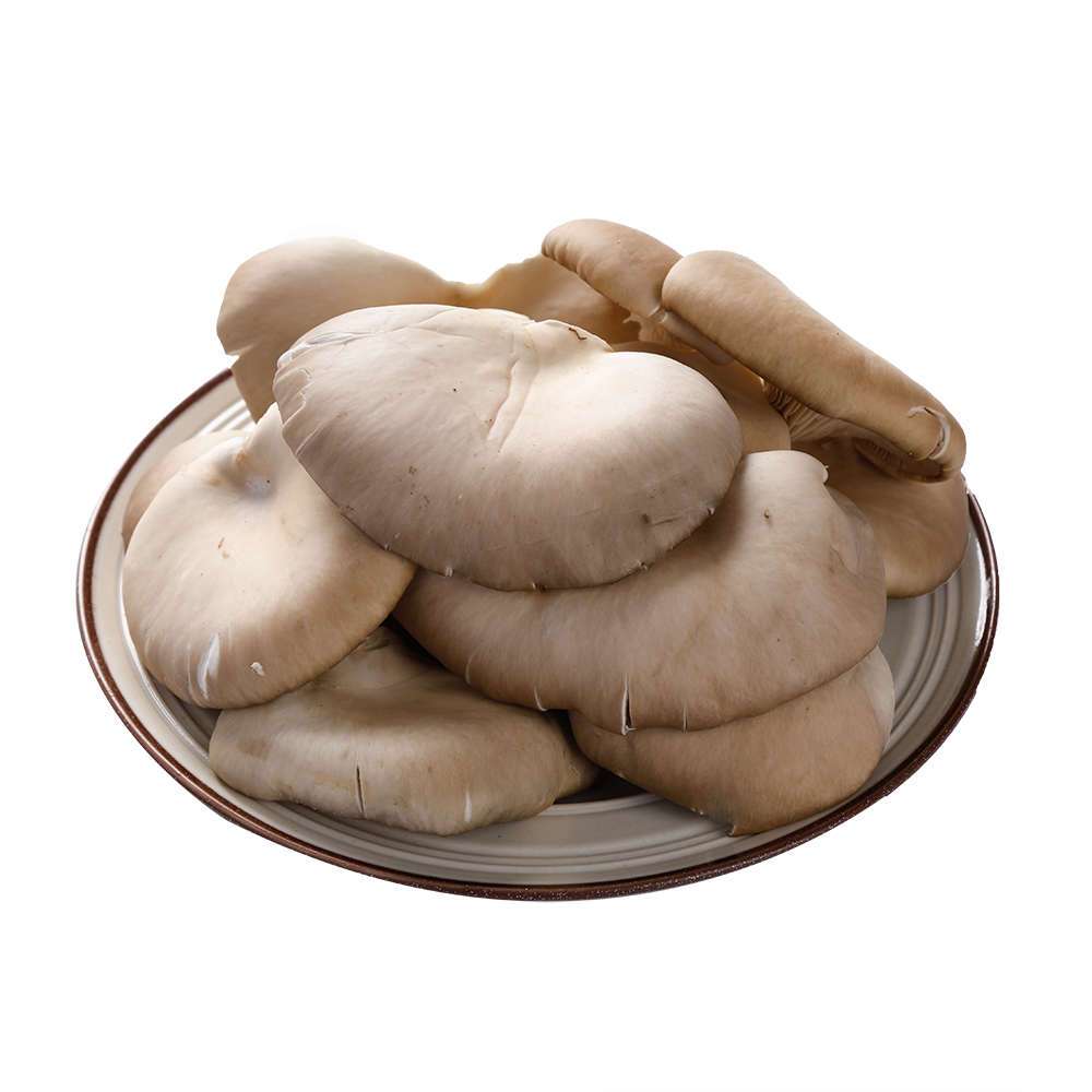 （份装）小平菇约250g/份