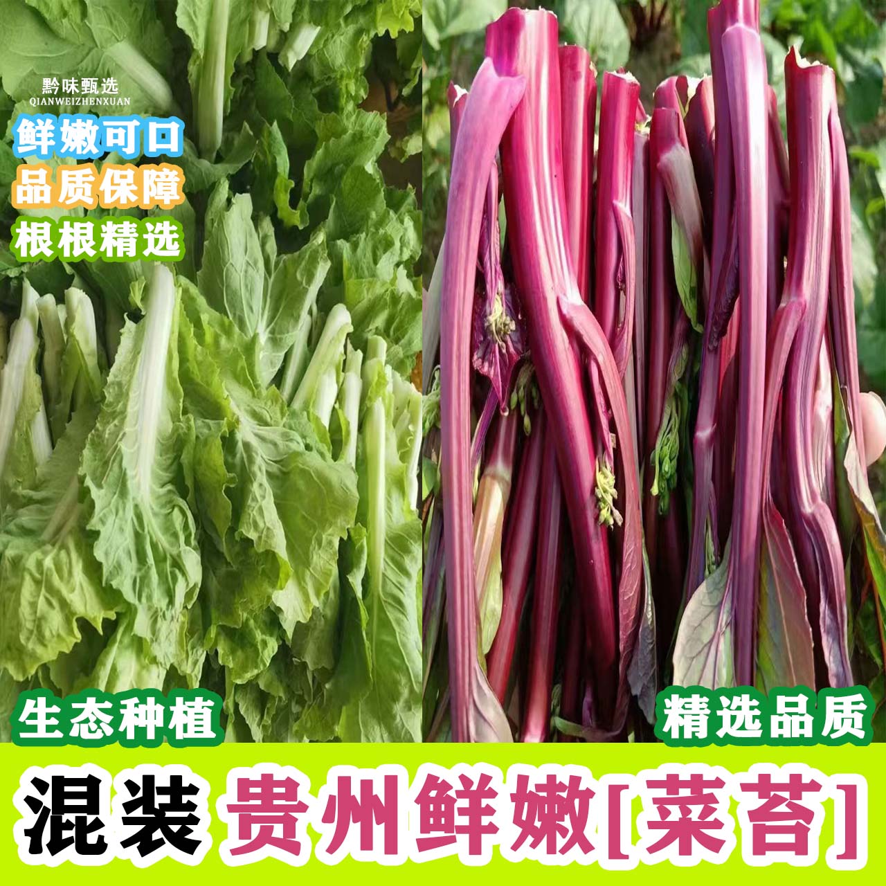 贵州鲜嫩红菜苔白菜苔【混装】高山农家自种新鲜采摘露天时令蔬菜