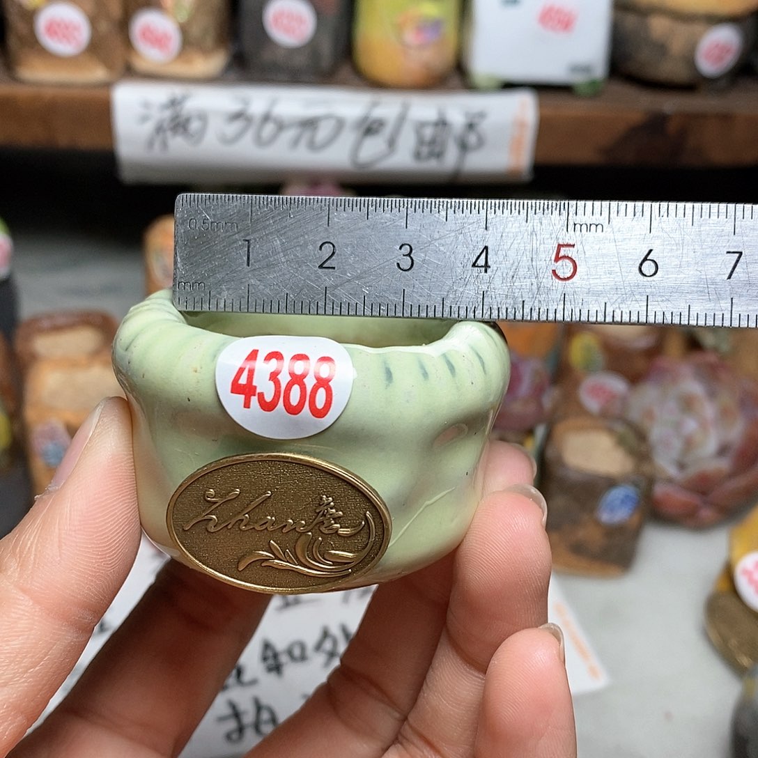 红陶处理的，处理