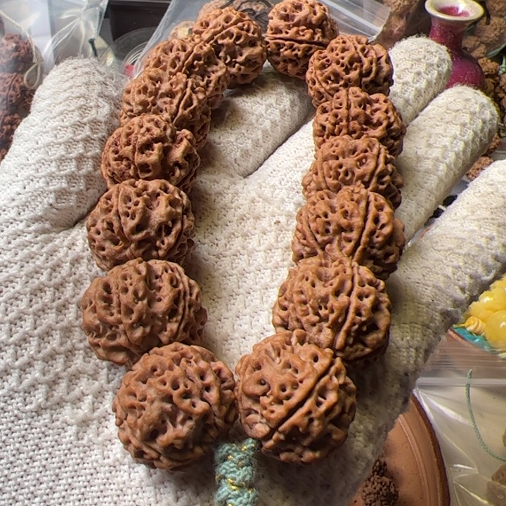 金刚菩提手串24粗筋蜂窝双龙