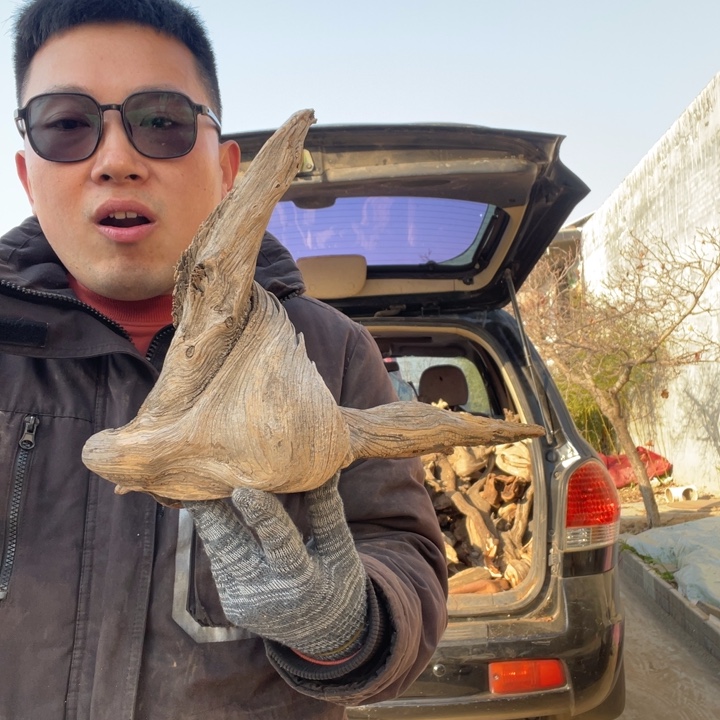 金***遗柏木（崖柏）来来来，啦啦啦啦啦啦啦