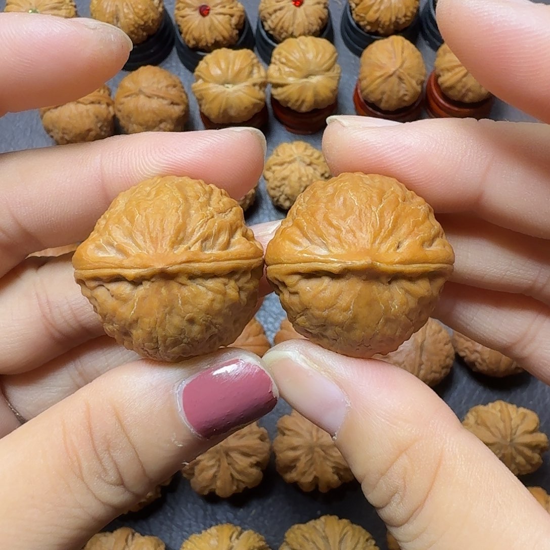 把件文玩核桃29尺蛇皮球开播福利000