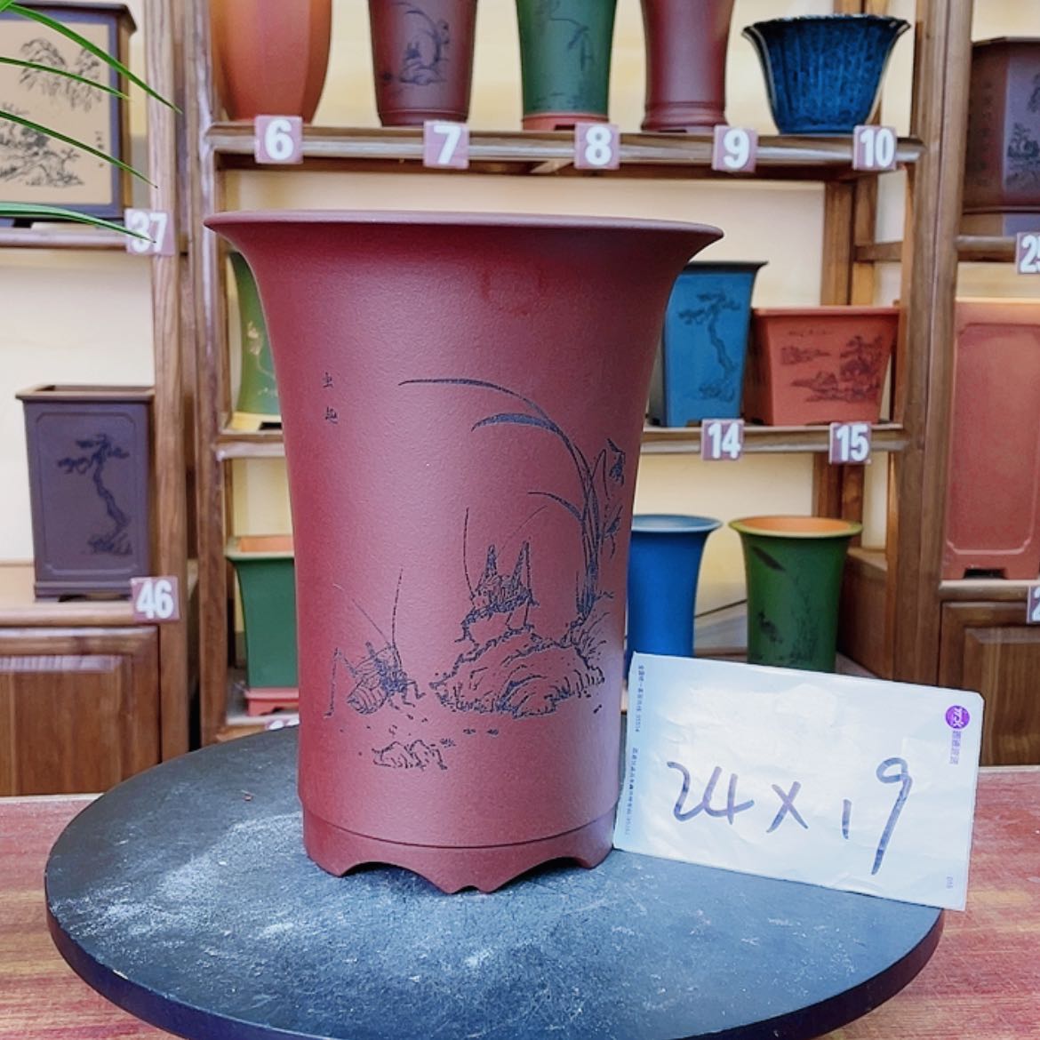 【闪购商品】紫砂花盆兰花15855558555566