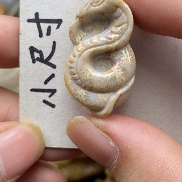 硅化珊瑚（珊瑚玉）未镶嵌颈饰