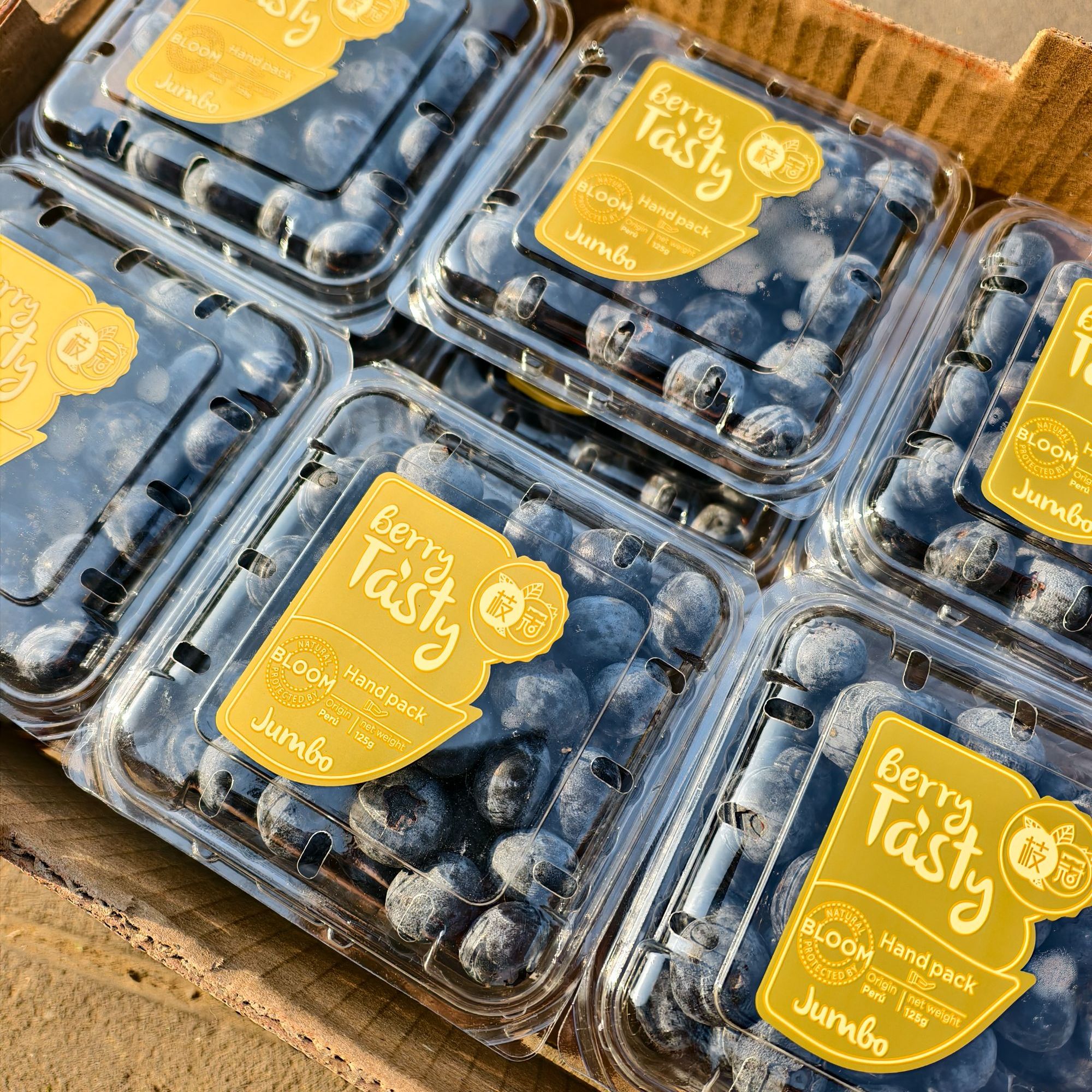 （果甄鲜）金标蓝莓1盒（酸甜）云南省