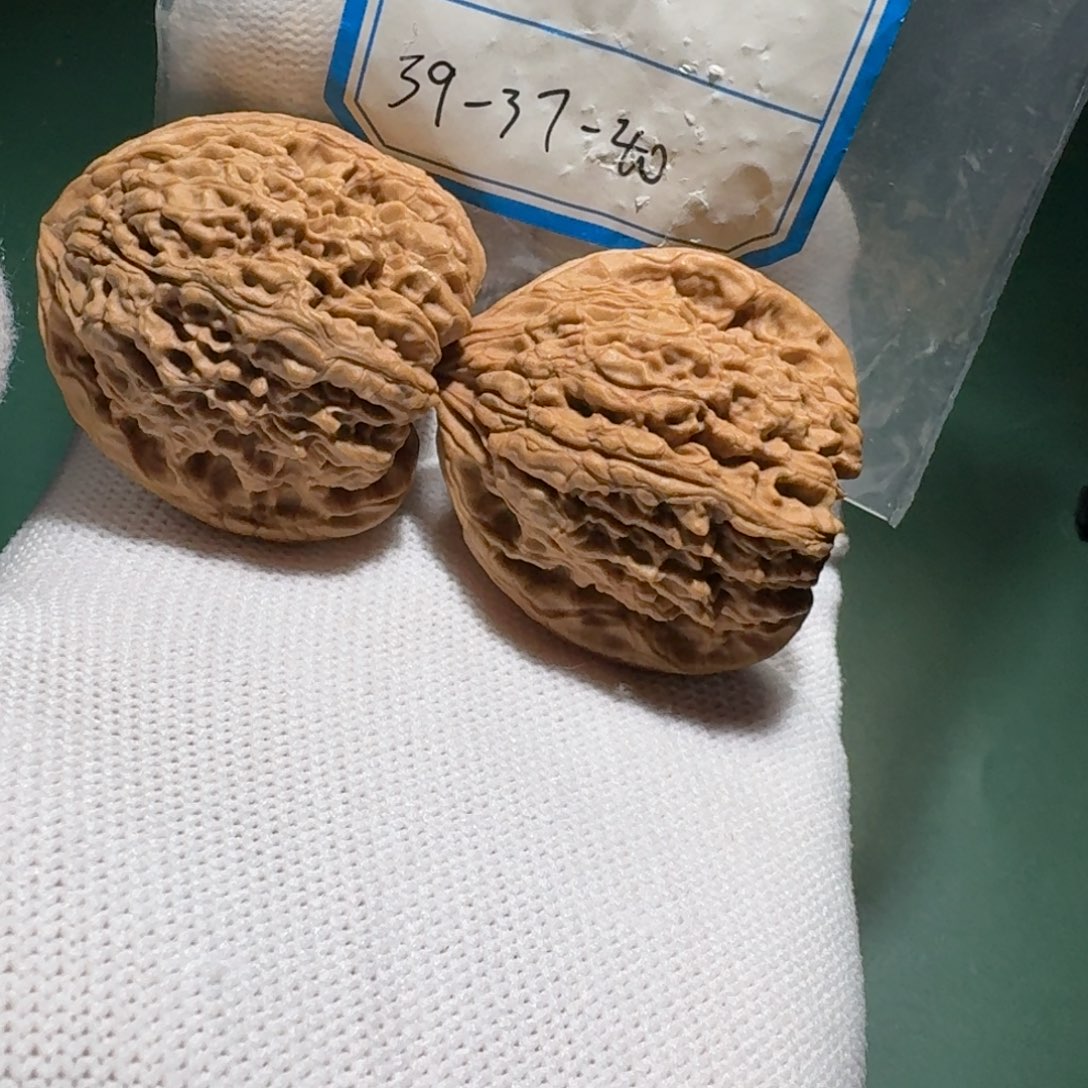 吊坠文玩核桃22号一代