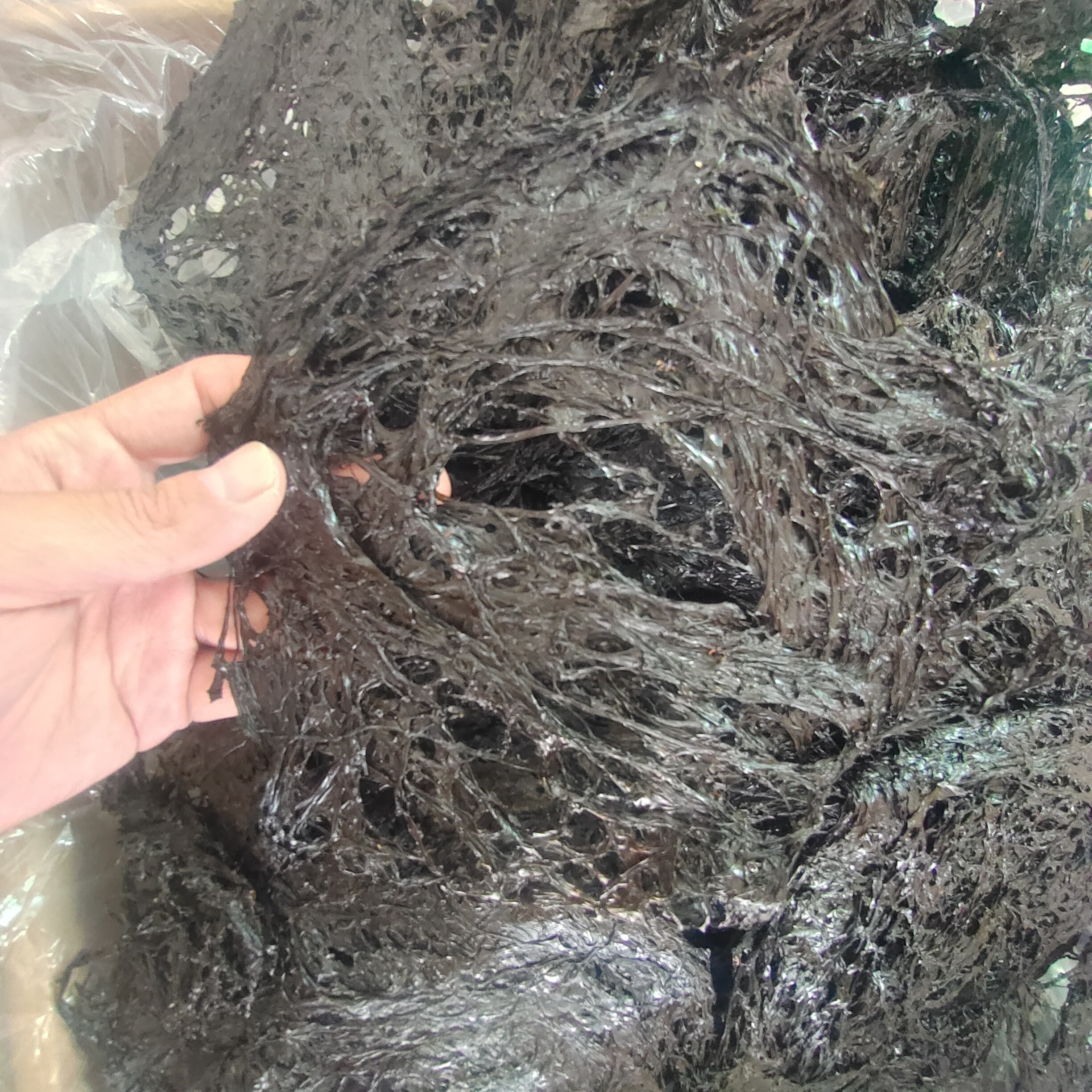 新上市头水紫菜福建霞浦无沙免洗手工日晒超细腻好吃的干货