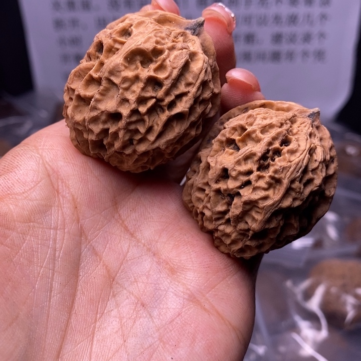 核桃云南野生铁核桃139号41