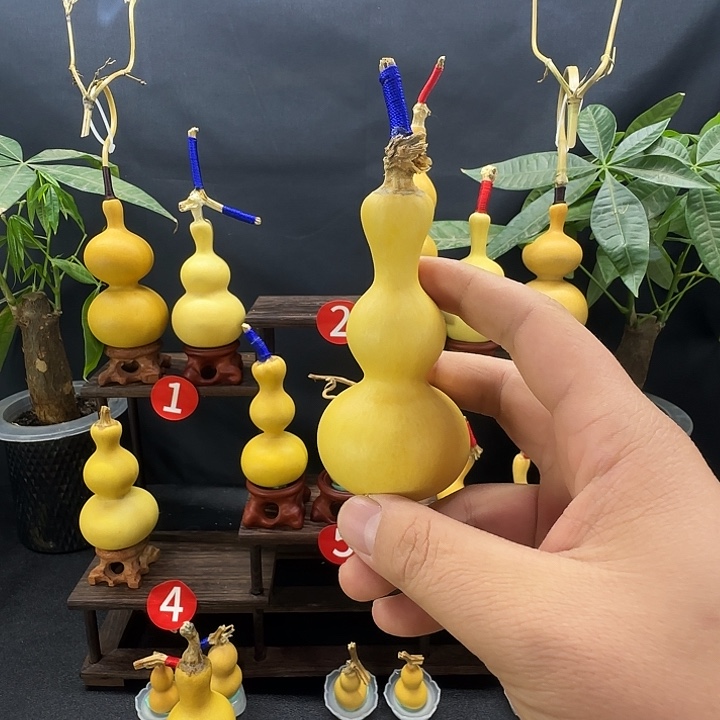 布***茶葫芦葫芦葫芦葫芦