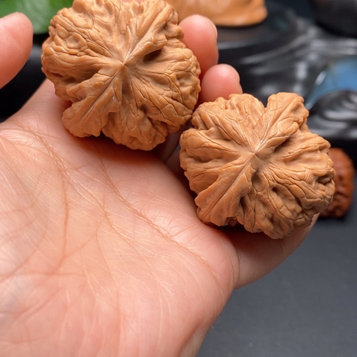 文玩核桃把件红锦鲤44尺