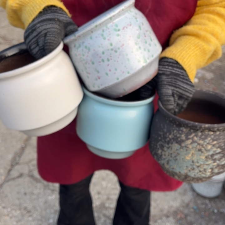 口15高14正品正品