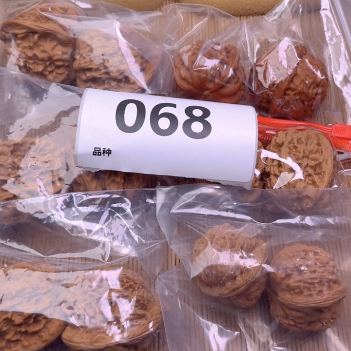 文玩核桃把件68号6对