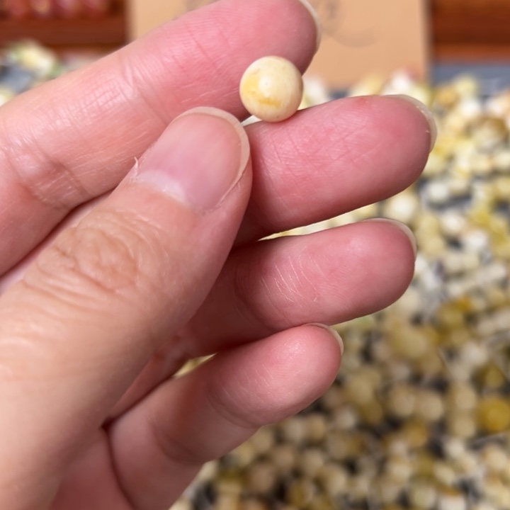 蜜蜡未镶嵌裸石8mm一个