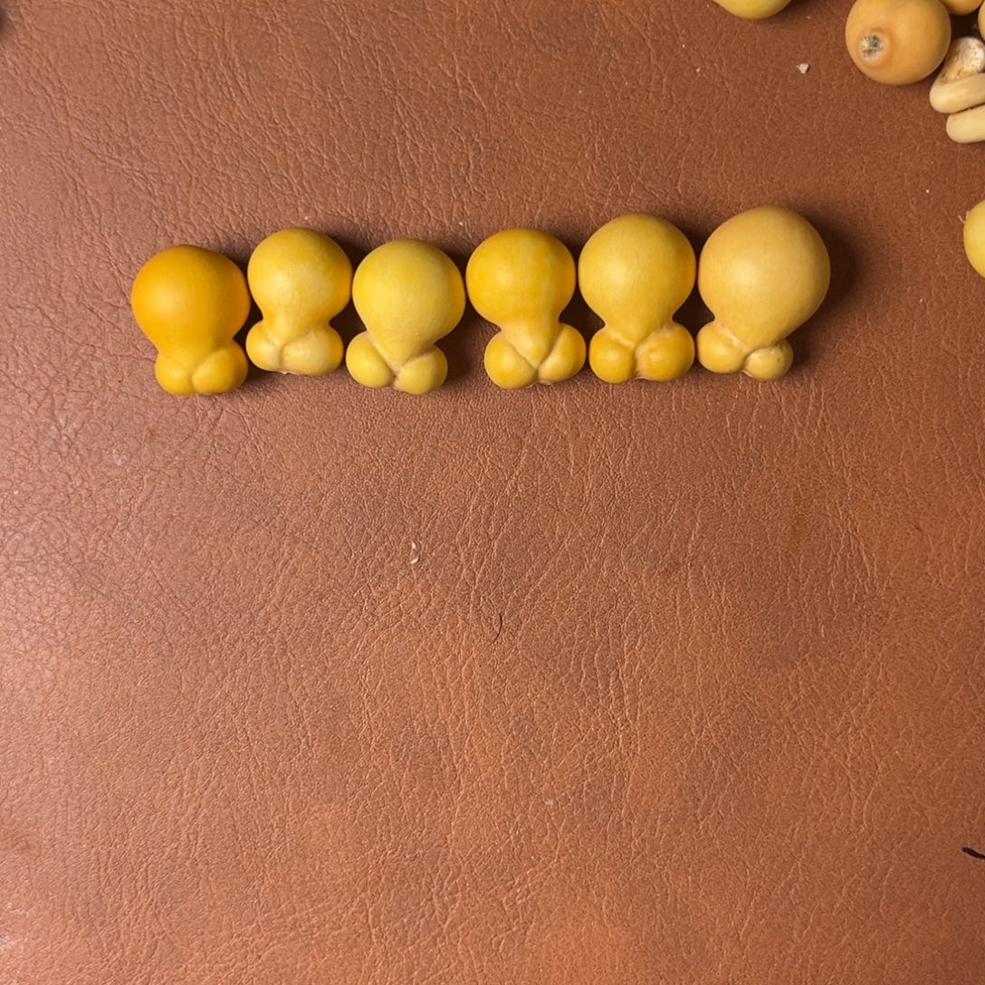 এ***এ大叶紫檀（黑酸枝木类）