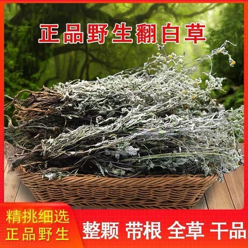 正宗野生翻白草精选翻白草干货无硫翻白草中药材正品新货可切打粉