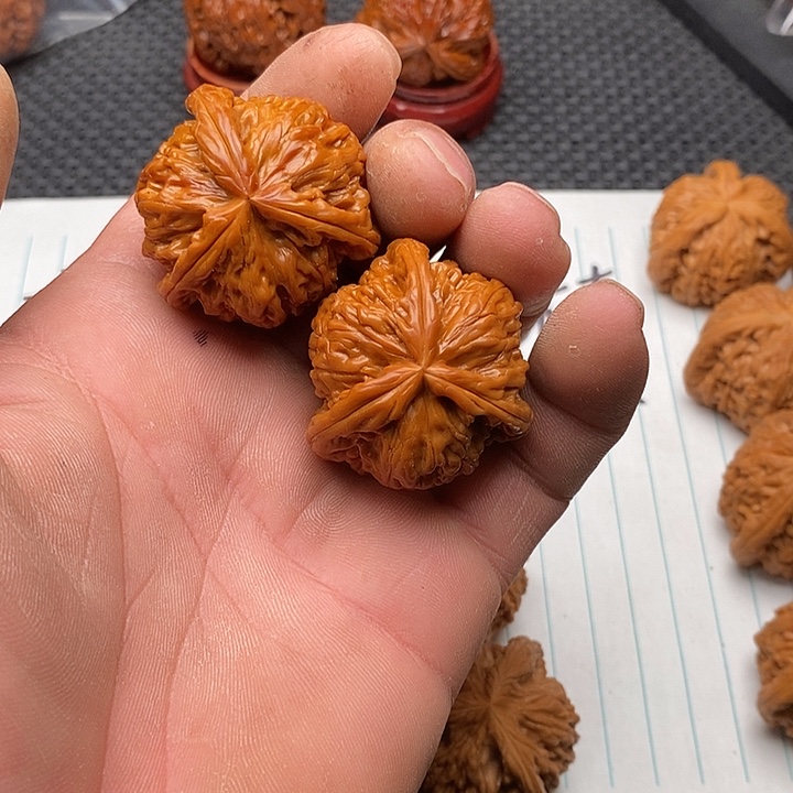 鼠***王把件核桃福利白狮子9