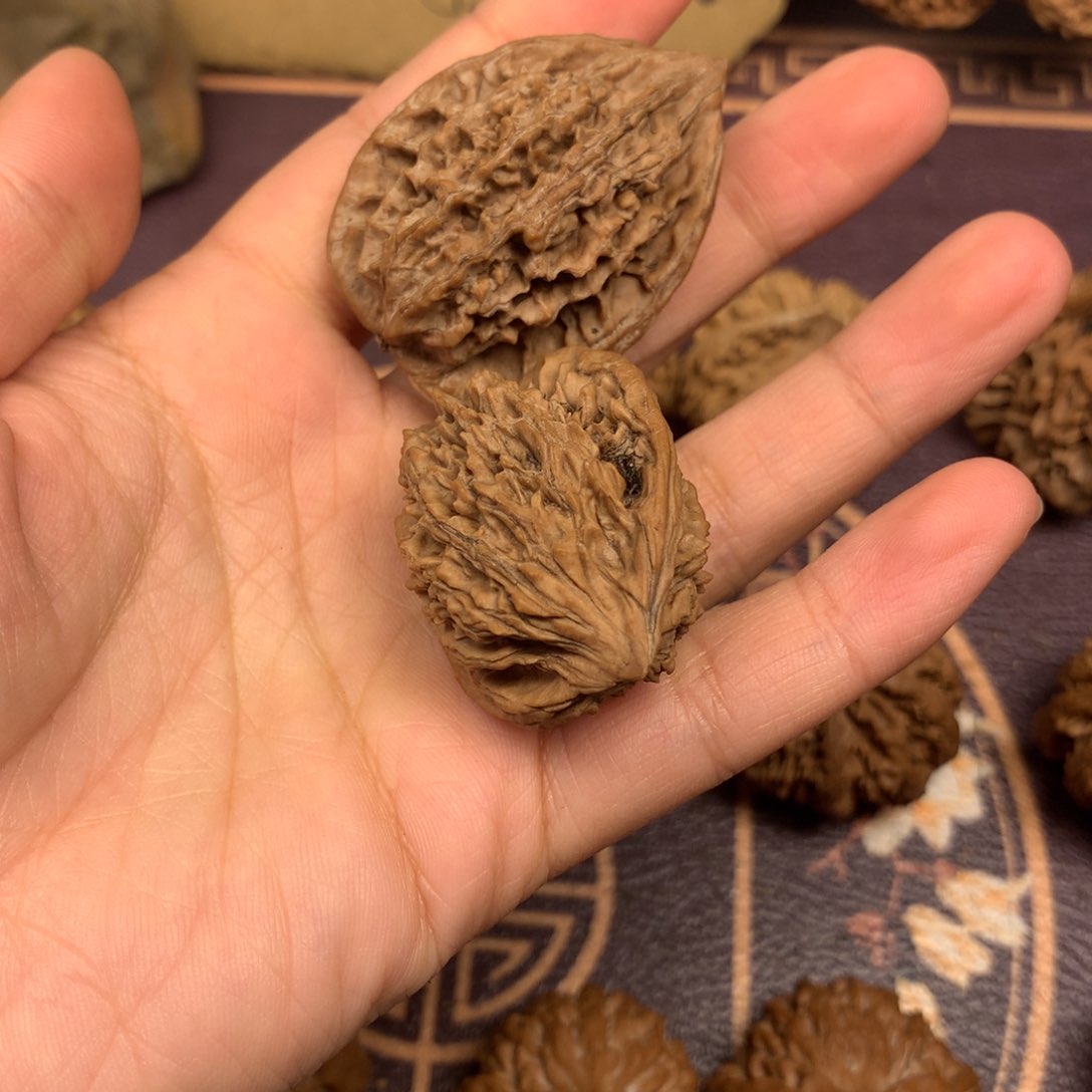 无*记秦岭山脉和青山环抱之中