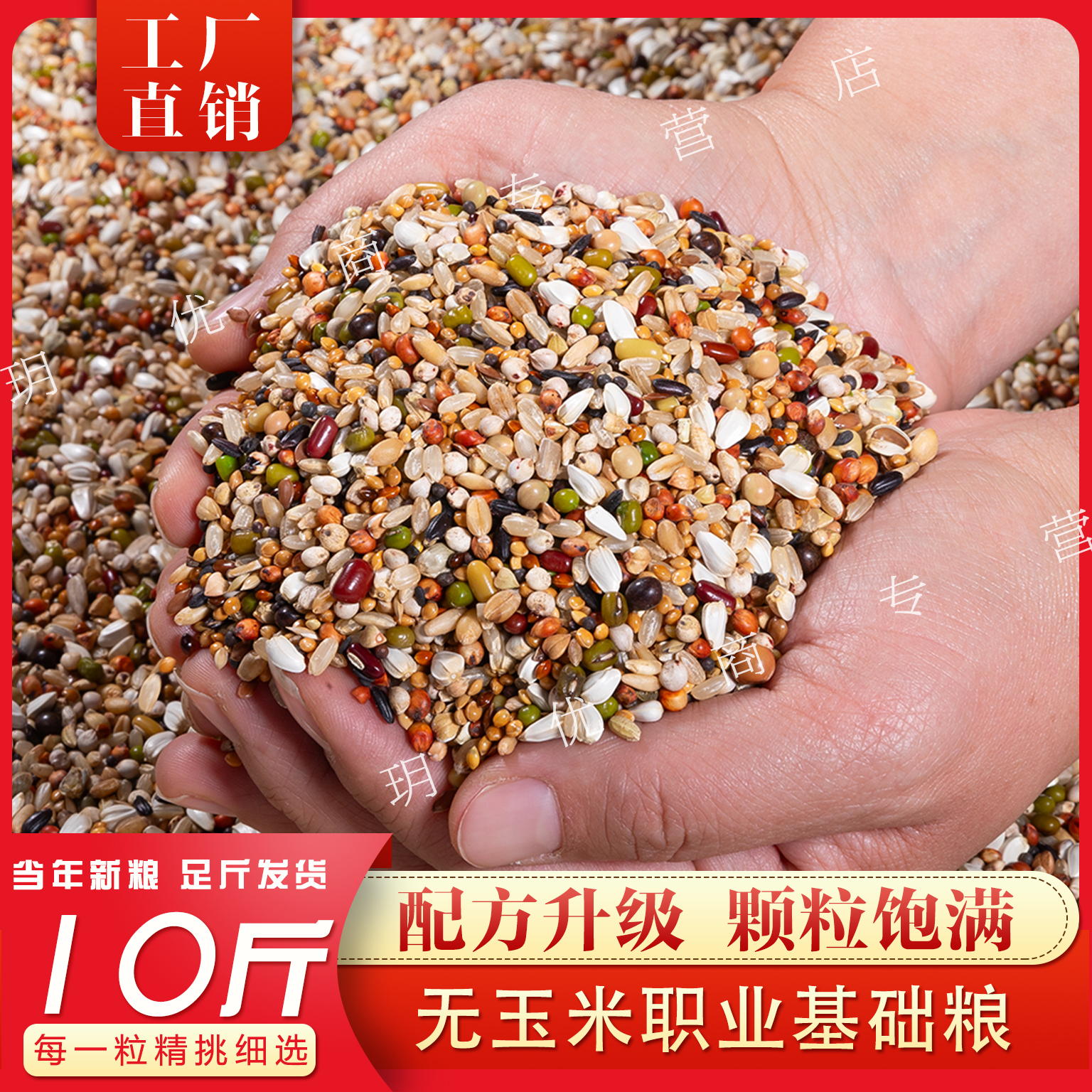 信鸽赛鸽观赏鸽青年鸽10斤装职业基础粮无玉米鸽子饲料鸽粮