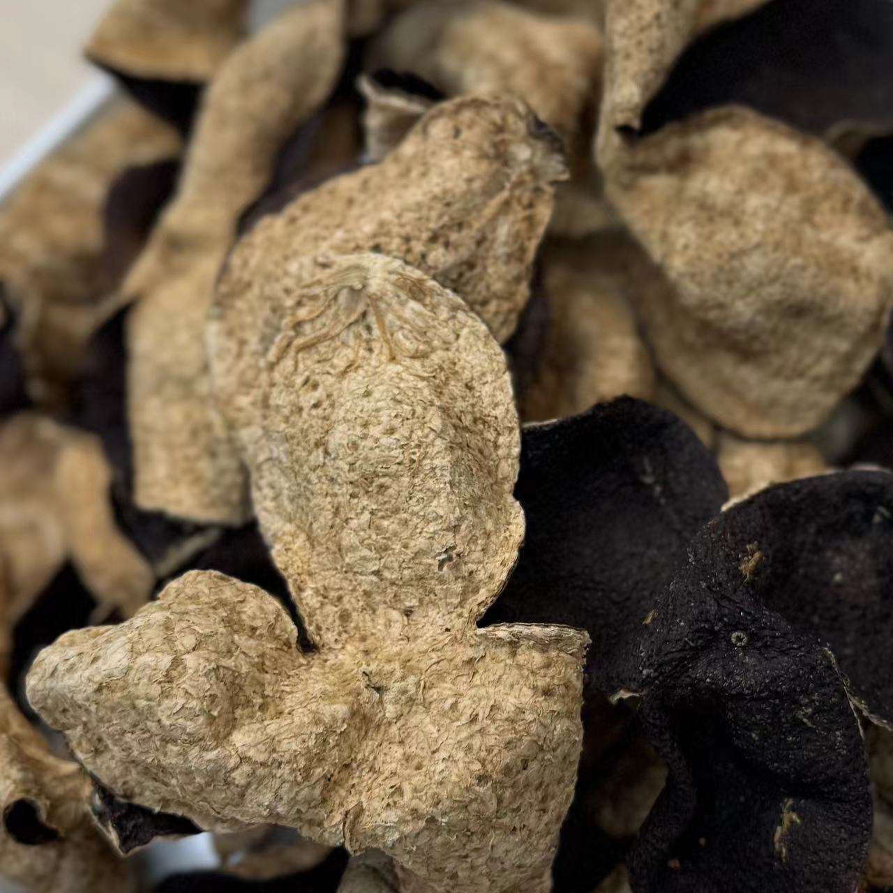 【马董精选469】新会陈皮2017年西甲圈枝二红转大红