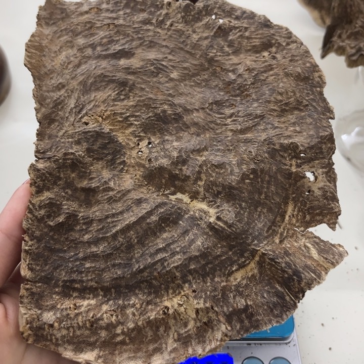 沉香沉香木制品海南沉香熏香块料27.9克