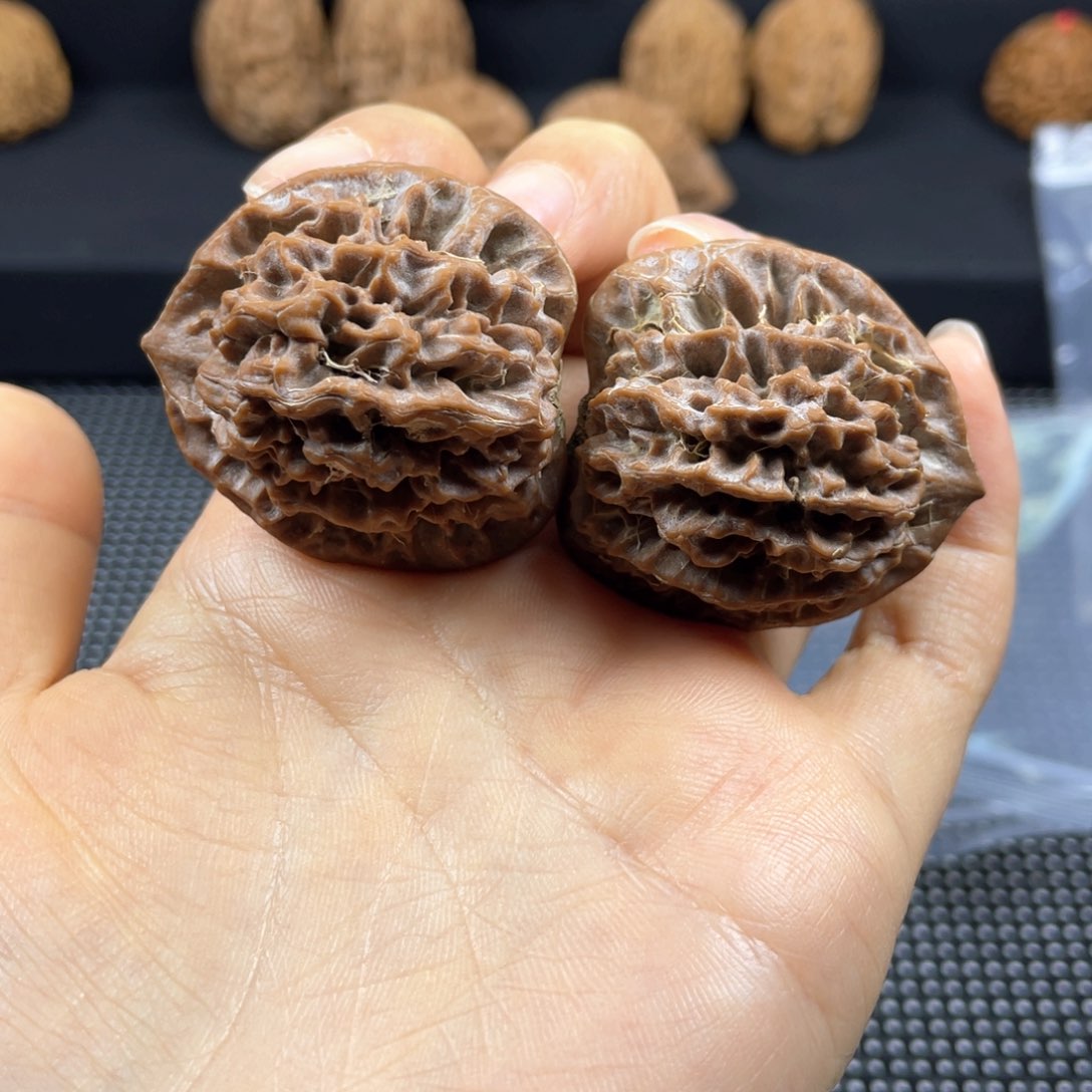 秦岭神树秦闷小王