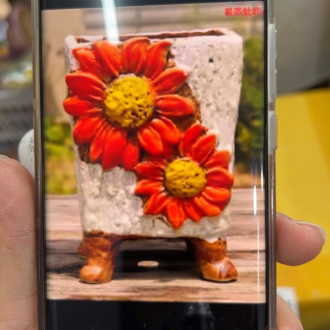 花盆满20发货，爱退款拉黑